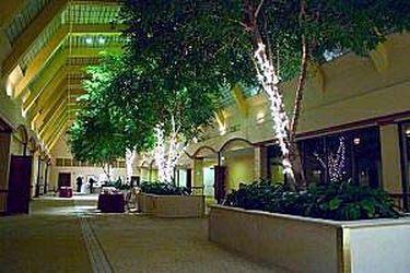 Mockingbird Hotel Dallas Ngoại thất bức ảnh
